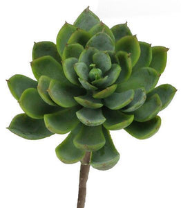 7" SEDUM SUCCULENT PICK, GREEN