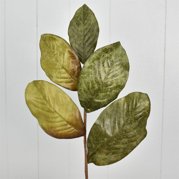 23” WEATHERED MAGNOLIA LEAF SPRAY