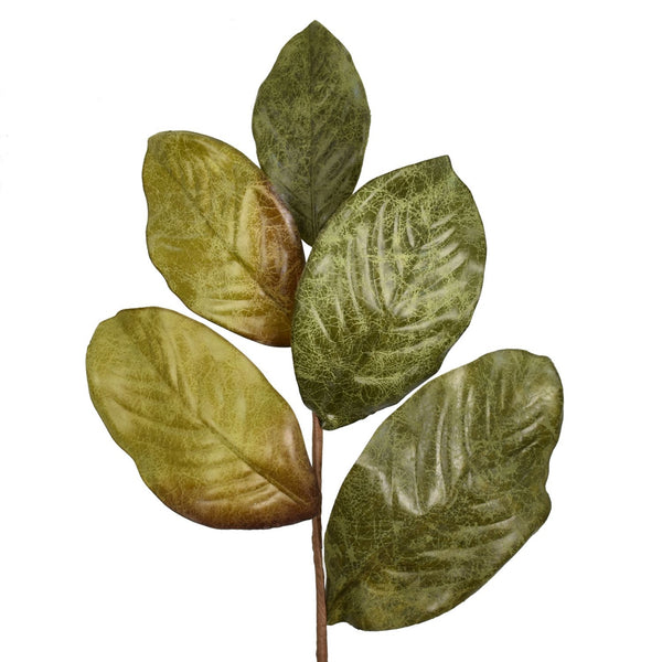 23” WEATHERED MAGNOLIA LEAF SPRAY